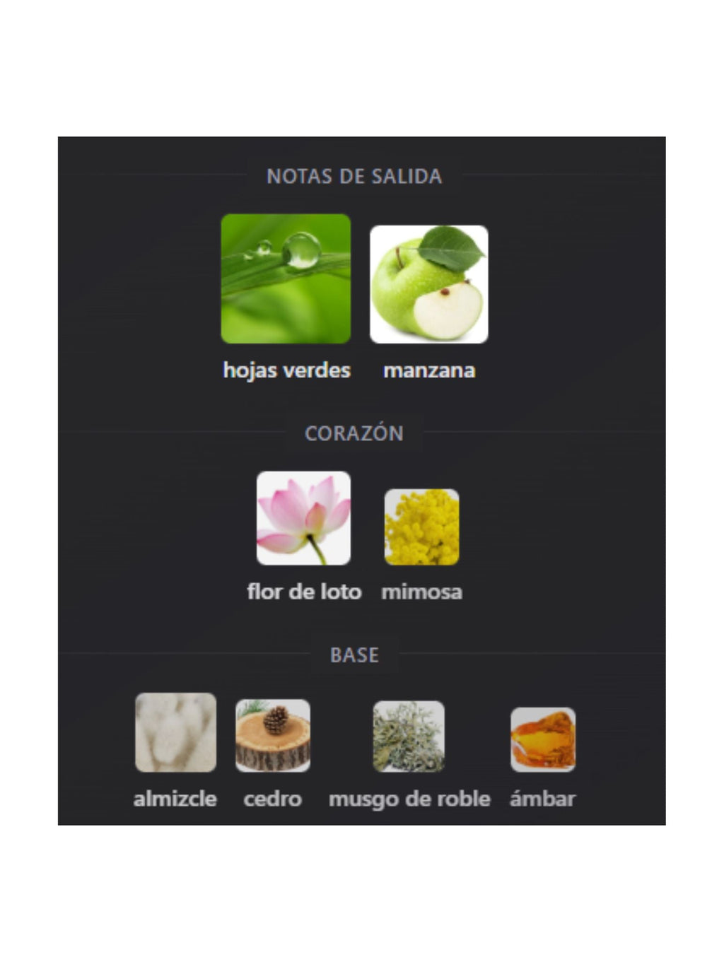 Nautica Voyage - 100ml (Nautica)