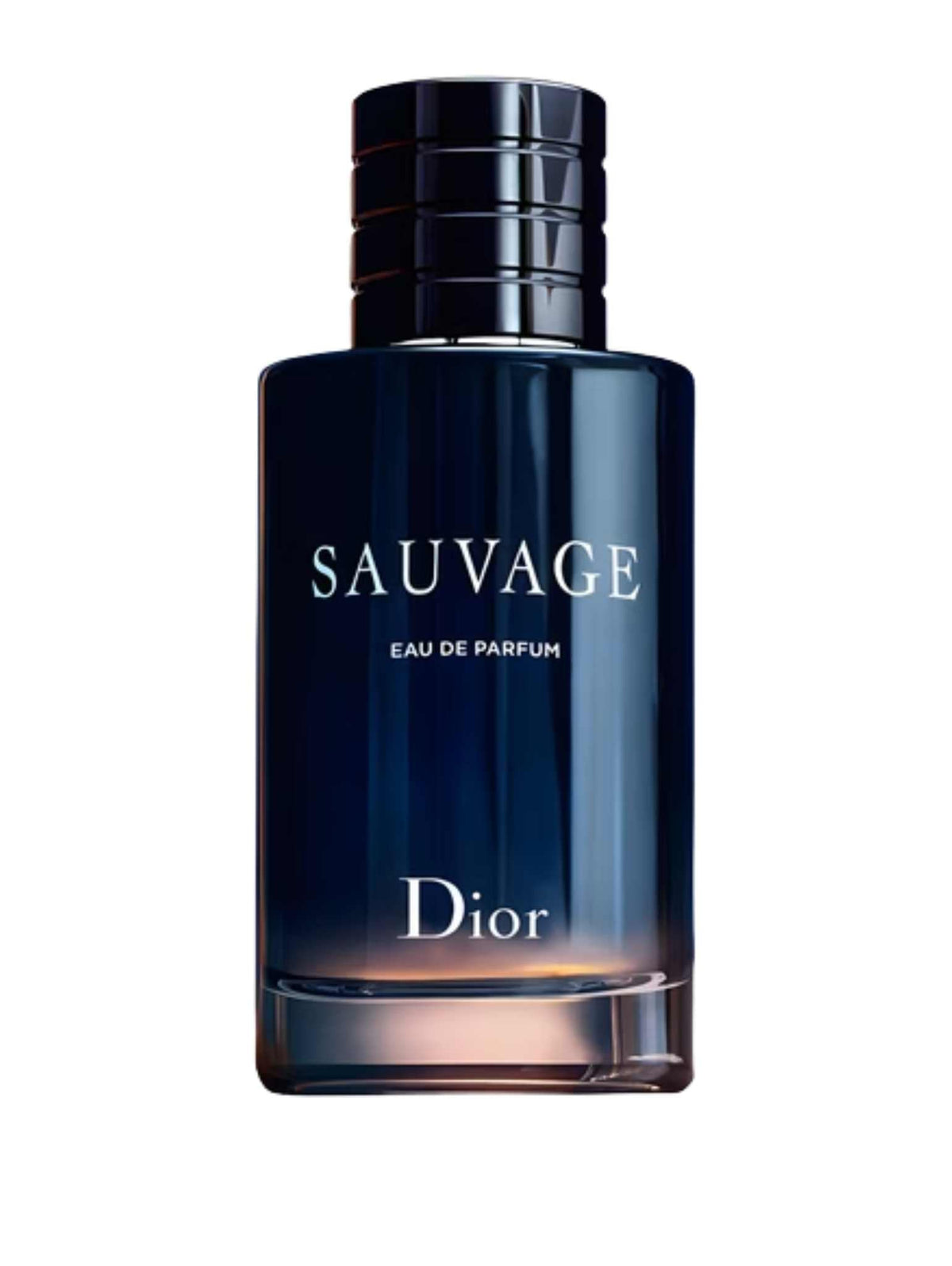 Sauvage EDP - 100ml (Dior)