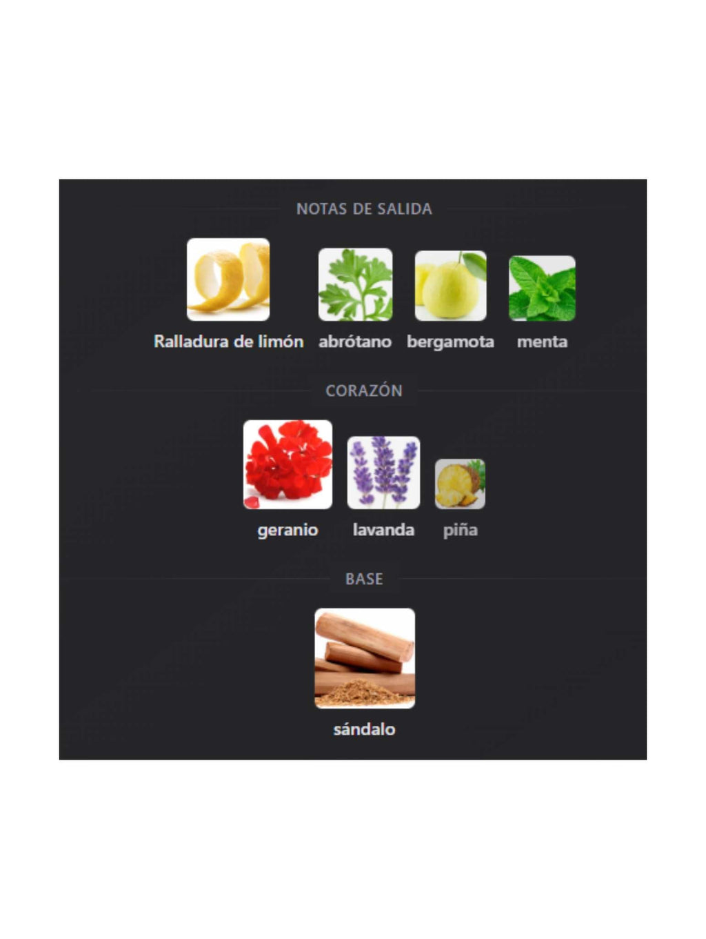 Rayhaan Nocturnon Elixir - 100ml (Rayhaan)