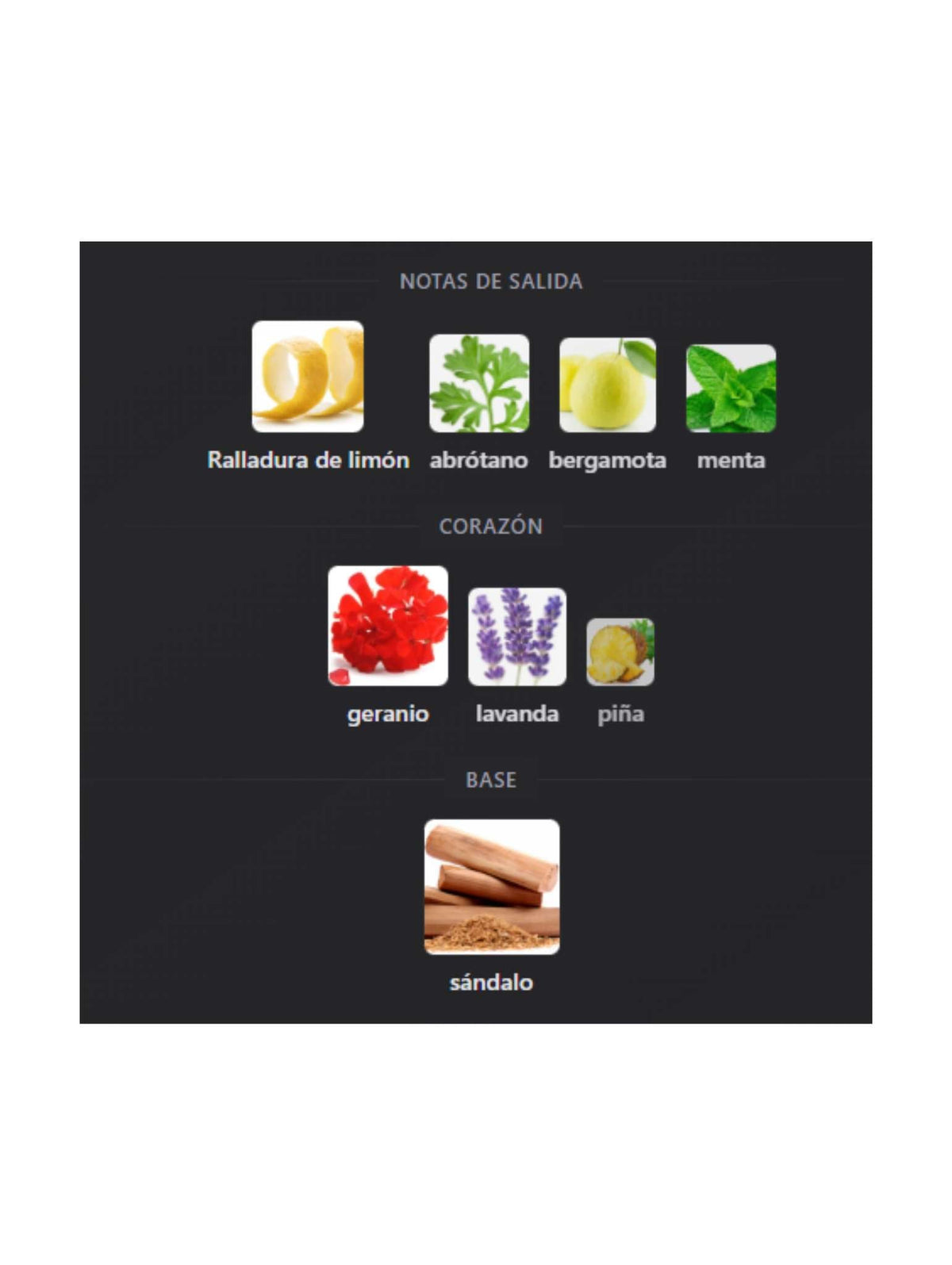 Rayhaan Nocturnon Elixir - 100ml (Rayhaan)