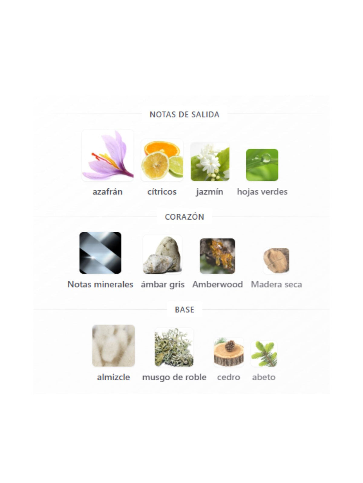 Hawas Majestic - 100ml (Rasasi)