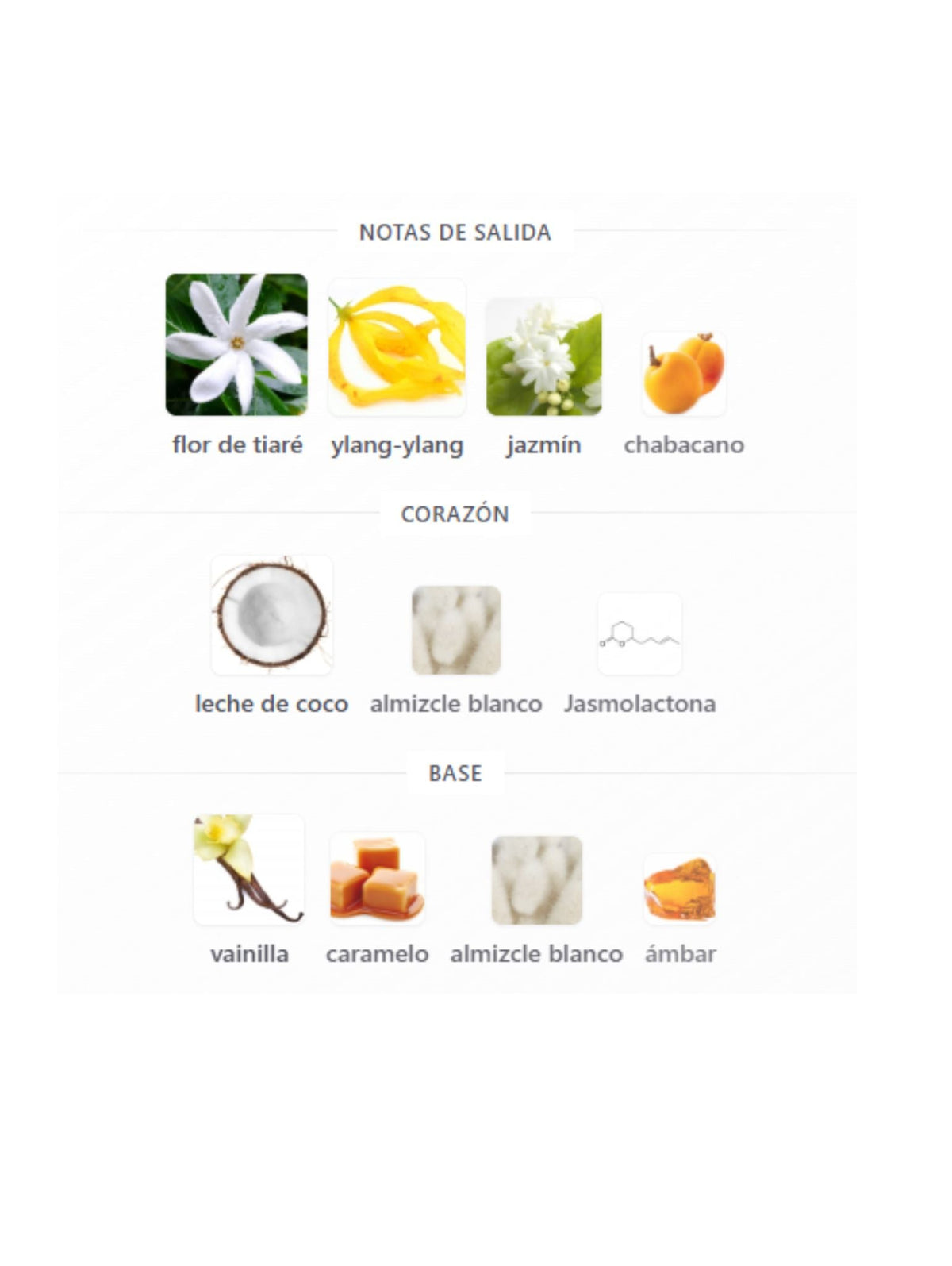Tester BoraBora - 100ml (Giardini Di Toscana)